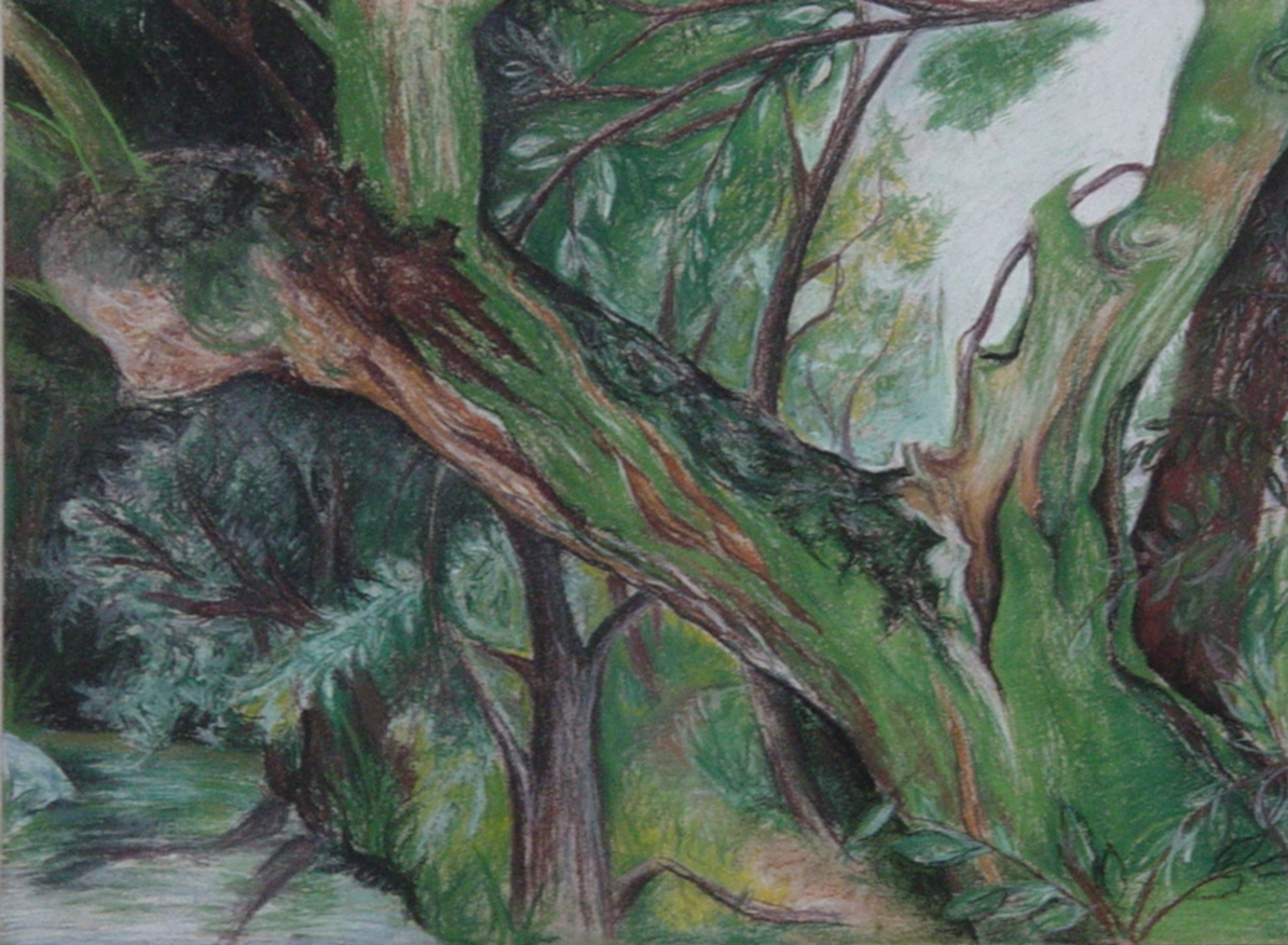 suchý pastel A3 2