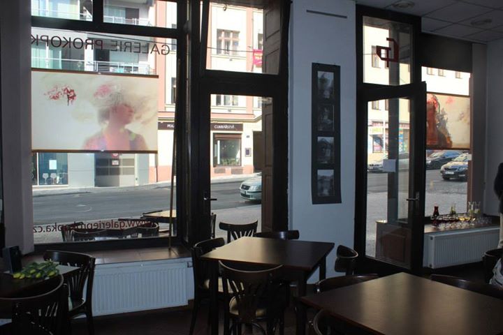 prokopka3